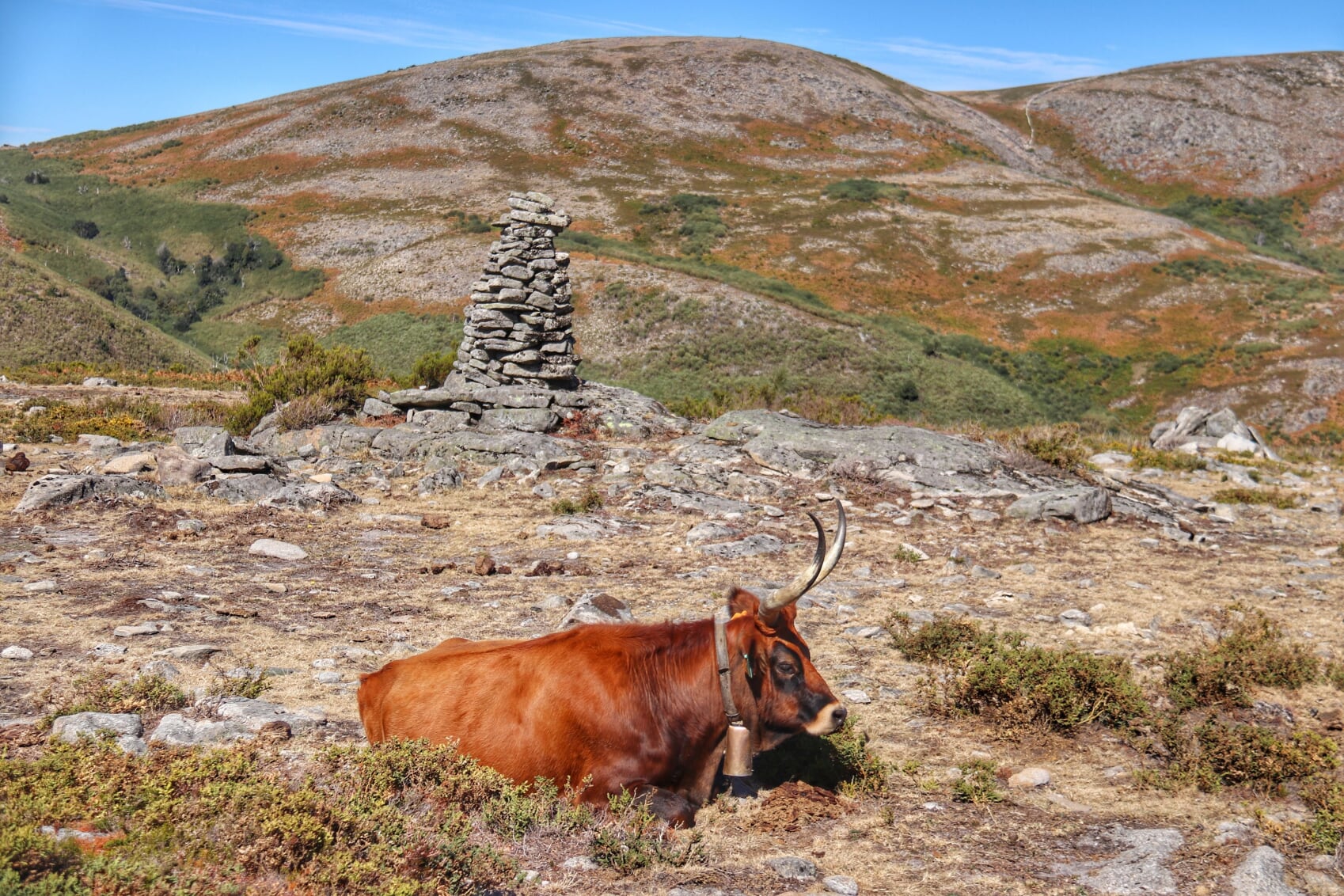 IMG_4304-01 Garranos no Parque Nacional