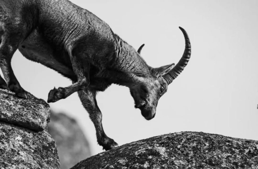 587014026_17863034325538136_490001255205928081_n.webp-1024x672 Prado Da Messe