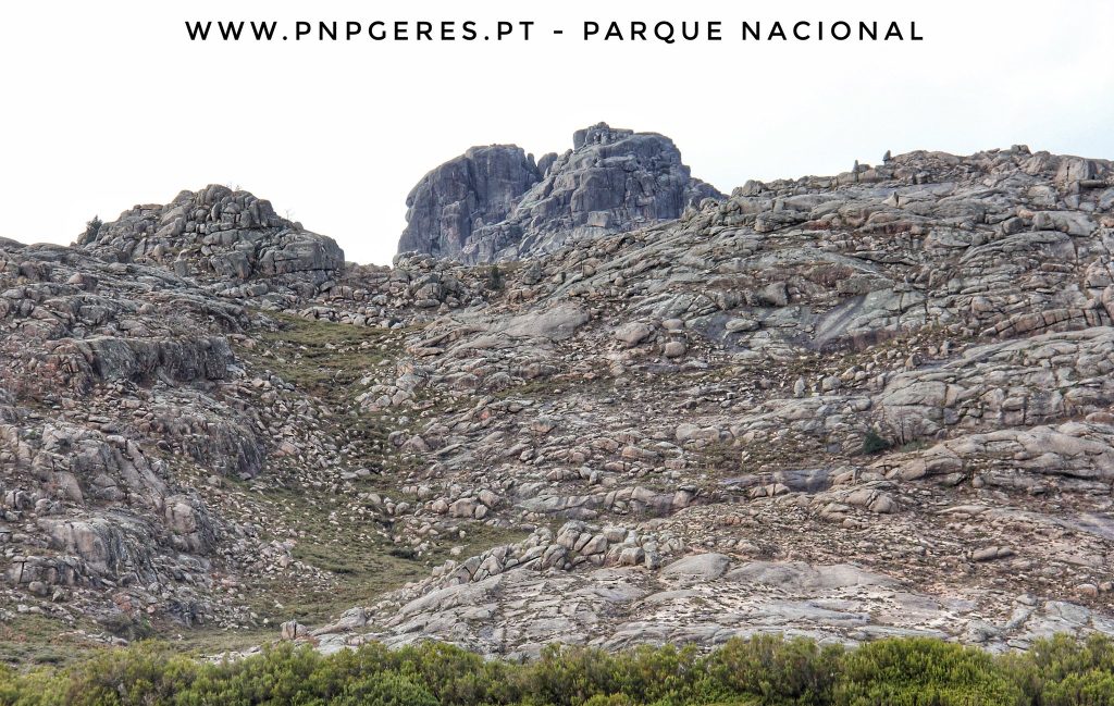 612992744_3221328731364123_1229262037877301378_n-1024x649 O Borrageiro