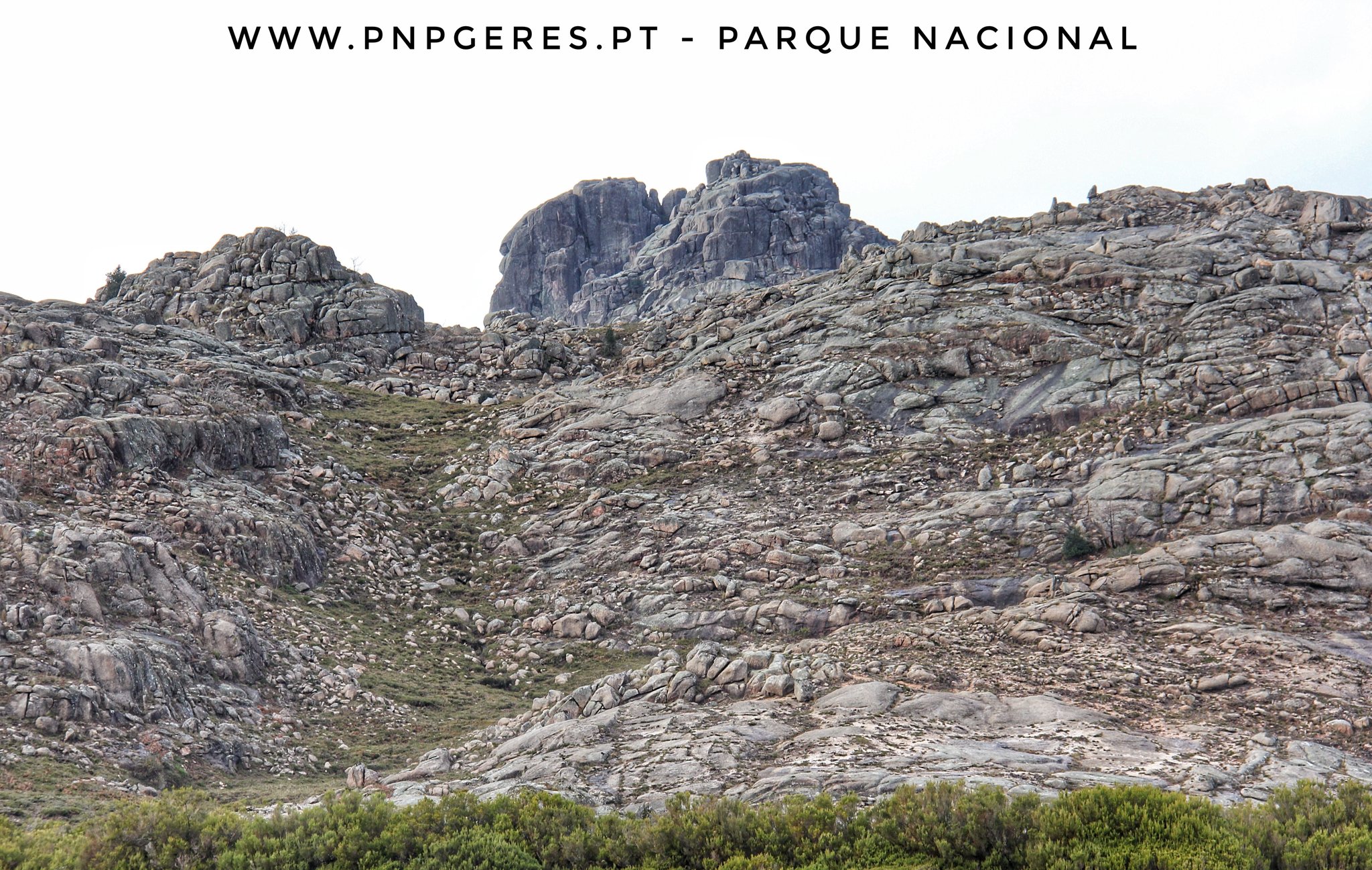 612992744_3221328731364123_1229262037877301378_n Garranos no Parque Nacional