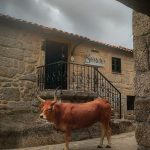 540893712_1226624886158581_4637973929010870947_n-150x150 Garranos na Serra Amarela